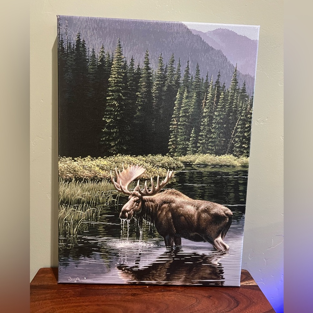 Wild Wings  Canvas “Northern Solitude Moose” by Neal Anderson